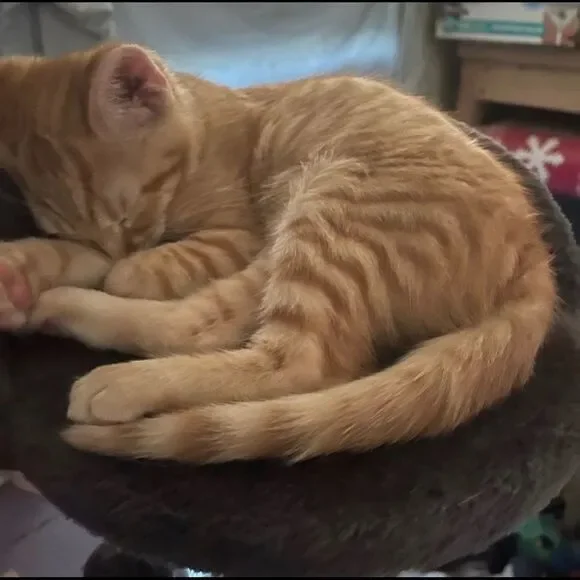 Help me reach 700k I’m at 620k - Picture 3 of 7